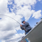 Thumbnail for Raptor_MG_4603051116