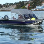 Thumbnail for Raptorphoto 2 (1)051116