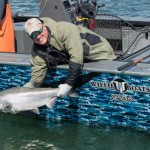 Thumbnail for nemesis7J1A0886051116