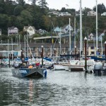 Thumbnail for nemesis7J1A9570051116